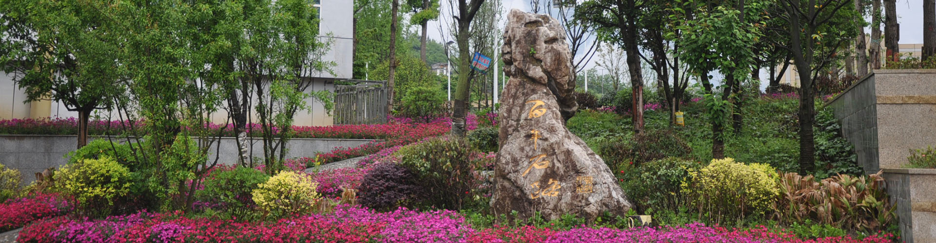 校園環(huán)境